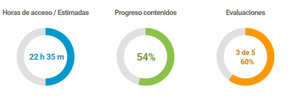 Detalle de las gráficas de avance que se le muestran al alumno durante la formación en SELF